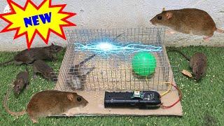 Top 10 Electric Rat Traps 