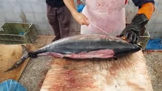 10 KG Tuna Fish $150 Skinning & Cleaning by Knife।Amazing Tuna Skinning & Cutting।Big Tuna Fillet