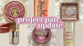 PROJECT PAN UPDATE #3 | April Check-In