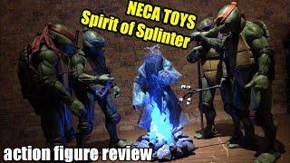 NECA TOYS Spirit of Splinter (Lootcrate Exclusive) | Action Figure Review