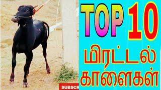 TOP 10 மிரட்டல் காளைகள் Part 2 ...