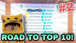 GETTING 96 DARK MATTER PETS! [ROAD TO TOP 10 GLOBAL] #2