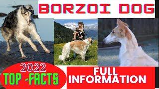 Borzoi -Top 10 Facts || Borzoi Pros And Cons | veterinary hindi