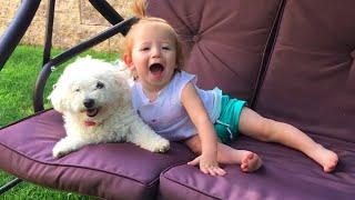 Cute Puppies and Babies Playing Together Compilation 2020