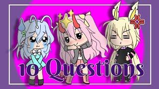 Top 10 Questions with Little Mizza