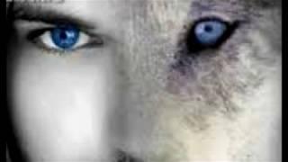 Top 10 Blue eye dogs/wolfs that have mixed DNA and same type eyes as the Caucasian Neanderthal