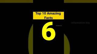 मियाँ खलीफा के बारे मे एक amazing facts