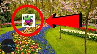 Top 10 most AMAZING plants (YOU WONT BELIEVE NUMBER 2!!!!)