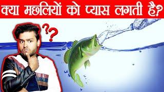 जवाब दो - क्या मछलियों को प्यास लगती है ? Scientific Osmosis of Fishes and Random Facts - TEF Ep 81