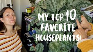 TOP 10 FAVORITE HOUSEPLANTS! | The Best Indoor Plants!