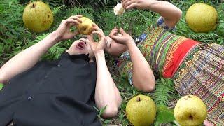 Survival skills : Finding food in forest meet fruit pear and eat fruit pear delicious
