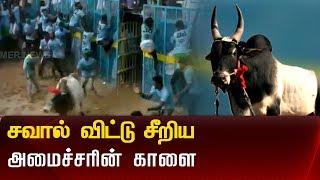 காளையர்களுக்கு  சவால் விடுத்த அமைச்சரின் கொம்பன் காளை |JALLIKATTU | PUDUKKOTTAI |  MINISTER