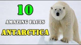 Top 10 Amazing Facts About Antarctica You Don't Know!!!!!