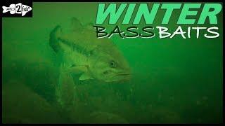 6 Proven Winter Bass Baits for Most Situations
