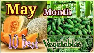 May Month Growing 10 Best Vegetables