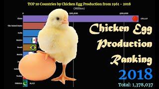 Chicken Egg Production Ranking | TOP 10 Country from 1961 to 2018