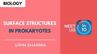 Surface Structures in Prokaryotes | NEET Biology | NEET UG in 10