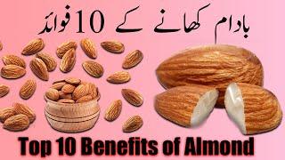 Top 10 Best Benefits of Almond |  Almonds Health Benefits