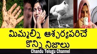 Top Interesting And Unknown In Facts Telugu | Amazing Facts Telugu | Chandu Telugu Channel