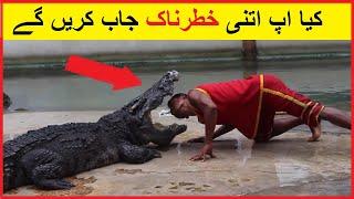 Most Dangerous Job in the World hindi / urdu || top dangerous job in the world