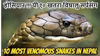 नेपालमा पाइने १० विषालु र डरलाग्दा सर्पहरु |Top 10 Dangerous Snakes Found In Nepal