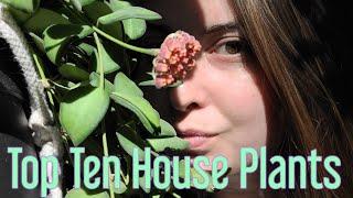 Top 10 Favorite House Plants | Summer 2020