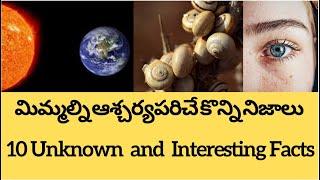 Top 10 Interesting Facts in Telugu You Never know || Unknown and Amazing Facts in Telugu -Hanvis Den