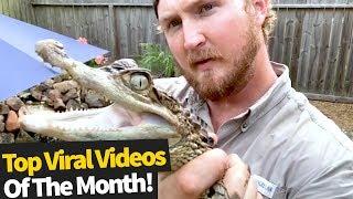Top 50 Viral Videos Of The Month  - April 2020