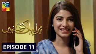 Tera Yahan Koi Nahin Episode 11 HUM TV Drama 3 February 2020