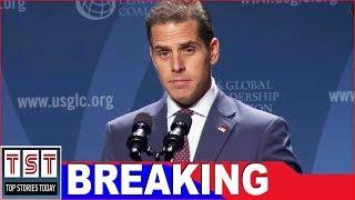 After Hunter Biden Claims He’s in Debt and Unemployed, Court Finds His $2.5 Mil Hollywood Home