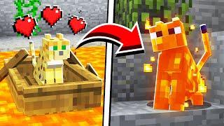 10 MOBS and PETS That Were NEVER ADDED in Minecraft!