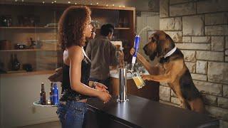 TOP 10 FUNNIEST Budweiser Commercials EVER! (Bud Light Superbowl Beer Ads 2020)