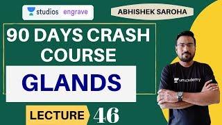 L46: Glands Part - 6 | 90 Days Crash Course | SSC CGL | Abhishek Saroha