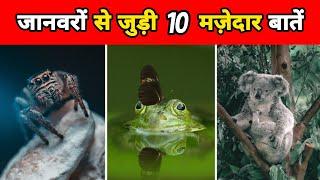 जानवरों से जुड़ी रोचक बाते | 10 Interesting Facts About Animals | Animal Facts In Hindi | #shorts