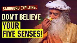 Don’t Believe Your Five Senses! | Sadhguru Explains