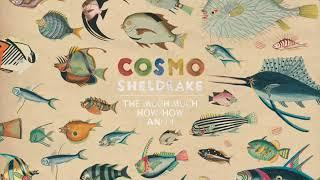 Cosmo Sheldrake | Birthday Suit | 10 HOUR LOOP