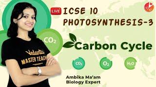 What Is Carbon Cycle? Photosynthesis ICSE Class 10 Biology Chapter 6 | Science | Vedantu 9 and 10