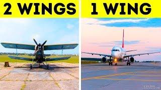 All Airplanes Actually Have Only One Wing