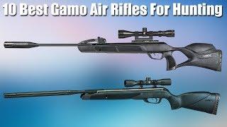 Top 10 Best Gamo Air Rifles For Hunting 2020