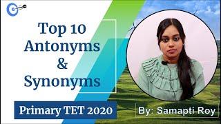 Top 10  Antonyms  and Synonyms | English | WB Primary TET 2020 | Master Of Jobs