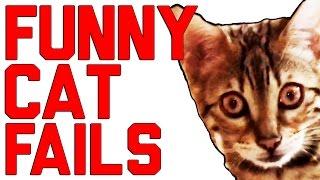 Funny Cat Fails Compilation (July 2016) | FailArmy