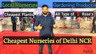 Top Cheapest Nurseries | Buy Plants With Cheap and Best Price | India