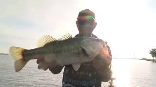 Top 10 Topwater catches from the 2019 Bassmaster Elite Series