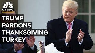 President Trump pardons Thanksgiving turkey at annual White House ceremony – 11/26/2019