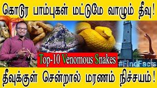 கொடூர பாம்புகள் மட்டுமே வாழும் தீவு! | Top-10 Venomous Snakes | தீவுக்குள் சென்றால் மரணம் நிச்சயம் |