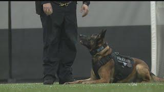 Local police K9 competes on A&E show 'America's Top Dog'