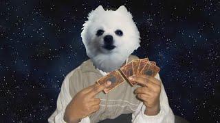 함정카드 BGM 강아지 리믹스  - YOU JUST ACTIVATED MY TRAP CARD Remix (Cover by Gabe the Dog)