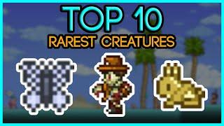 TOP 10 Rarest Creatures in Terraria 1.4.2.3