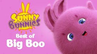 SUNNY BUNNIES - Big Boo's Top 10 Magical Moments | Cartoons for Children