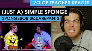 (Just a) Simple Sponge - SpongeBob SquarePants: The Musical | Voice Teacher Reacts